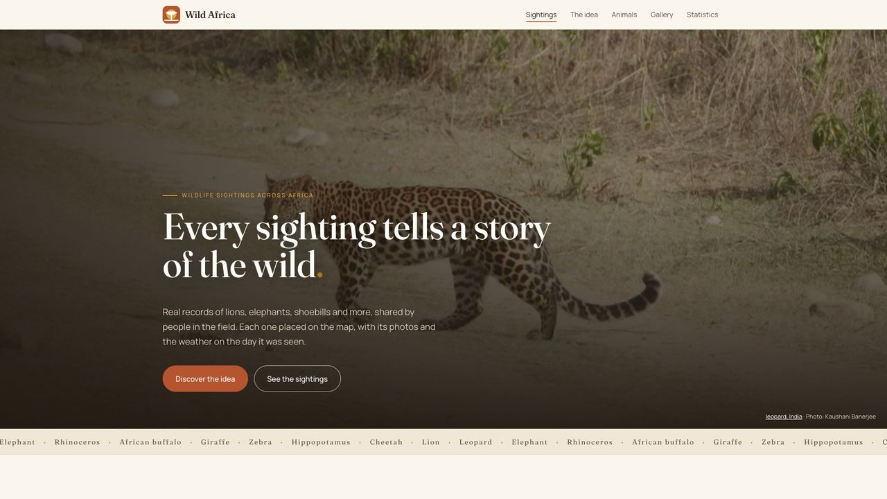 Wild Africa, built by @BernadetteAkinyi