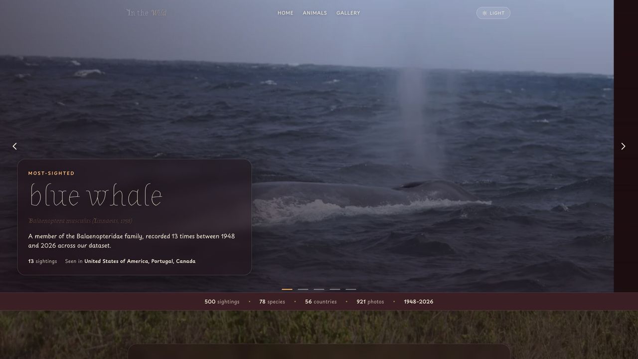 In the Wild, built by @joykara