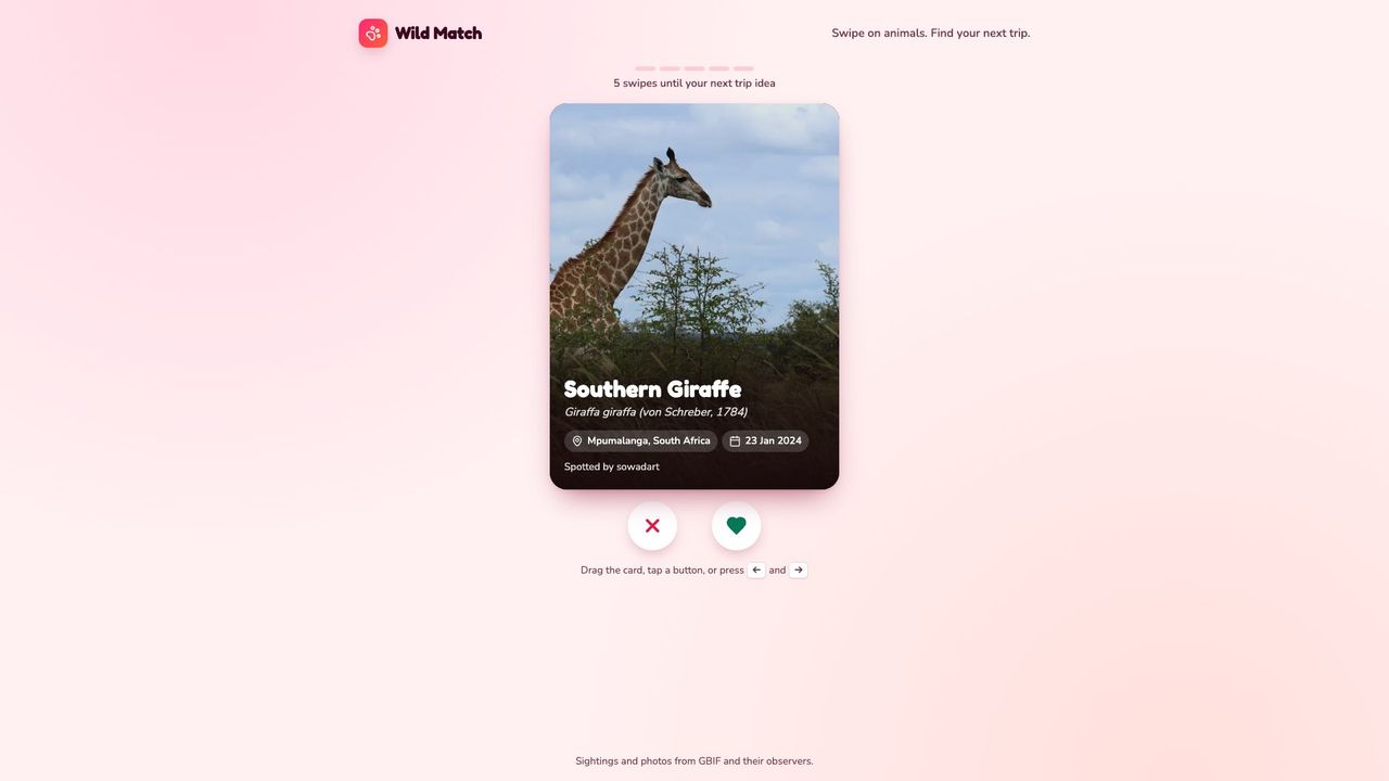 Wild Match, built by @peter-mghendi