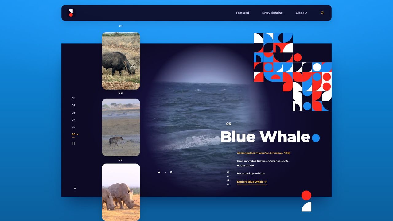 Wild Sightings, built by @SnowJunior