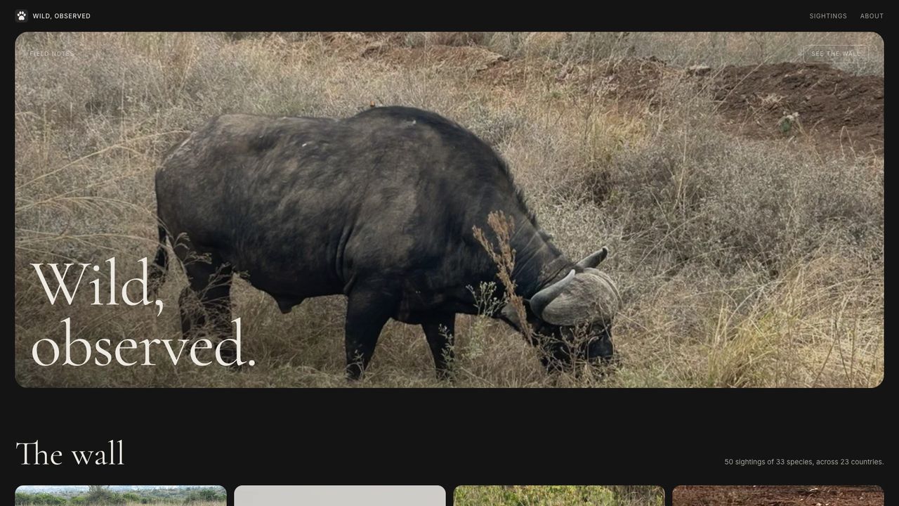 Wild, Observed, built by @waynemorphic